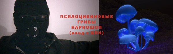 Альфа ПВП Володарск