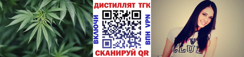 Купить где  Заволжск  ТГК концентрат 