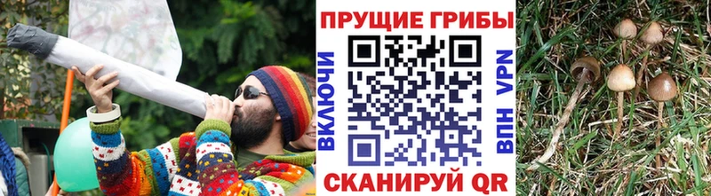 Галлюциногенные грибы ЛСД  Купить  Заволжск 